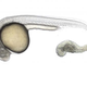 Illustration for article titled Stem Cell Researchers Just Figured Out How to Create New Embryos